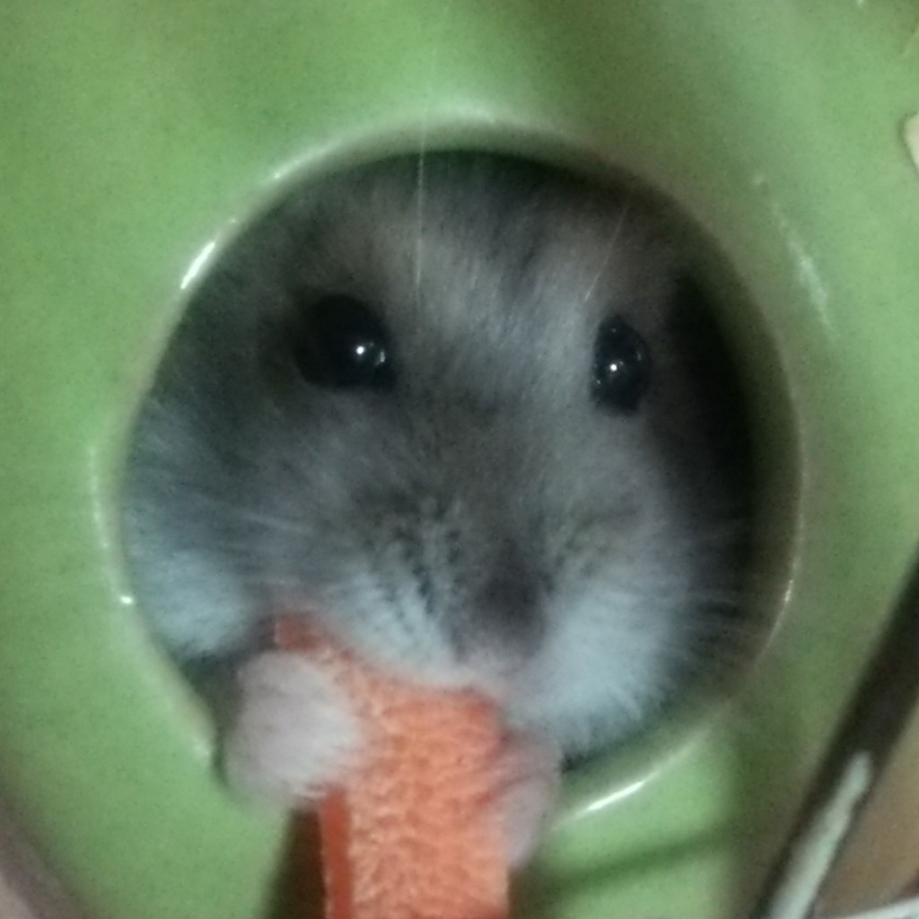 ペン