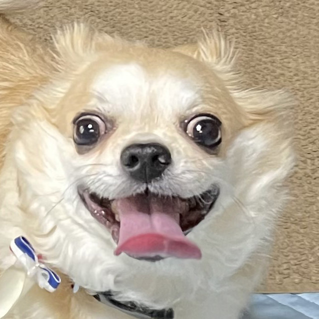 つうじい