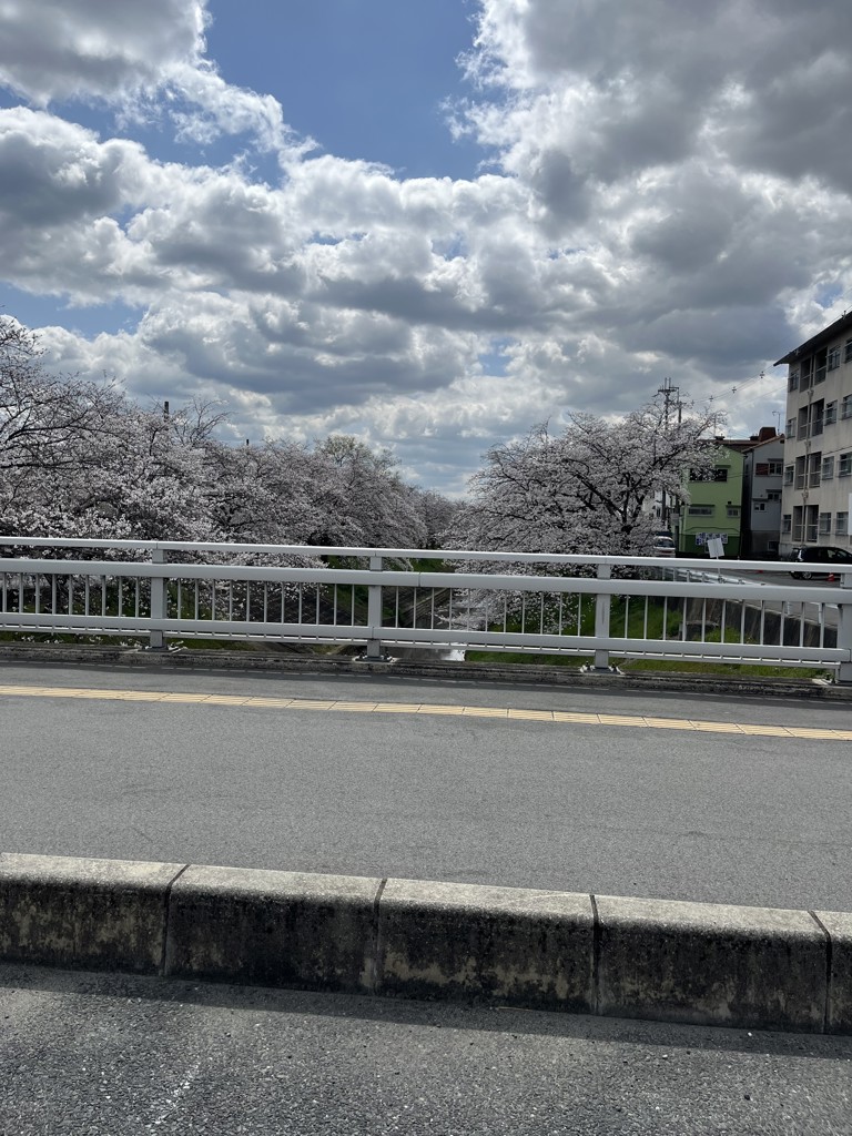 まるこ