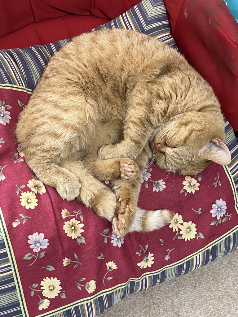 ぷーすこ