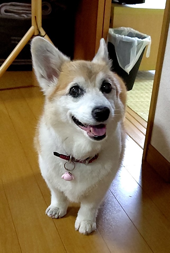 yuri