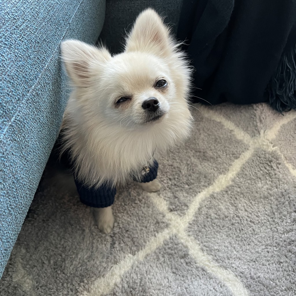 ユーザーアイコン