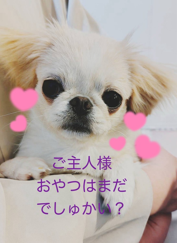 風鈴