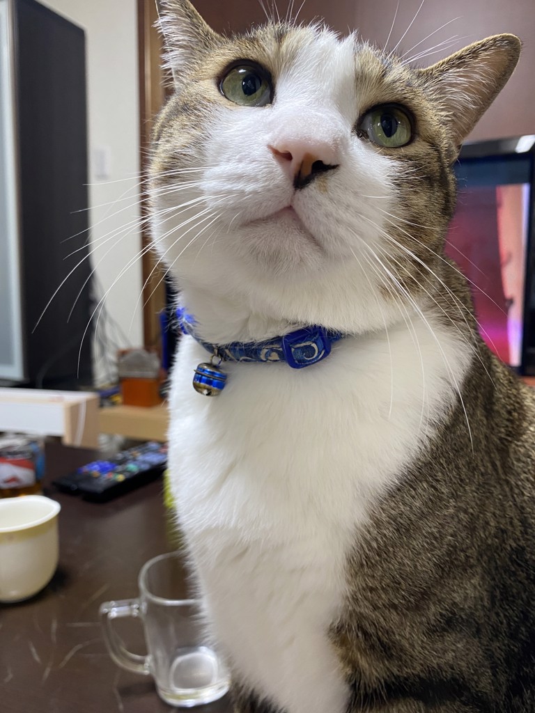 みつ