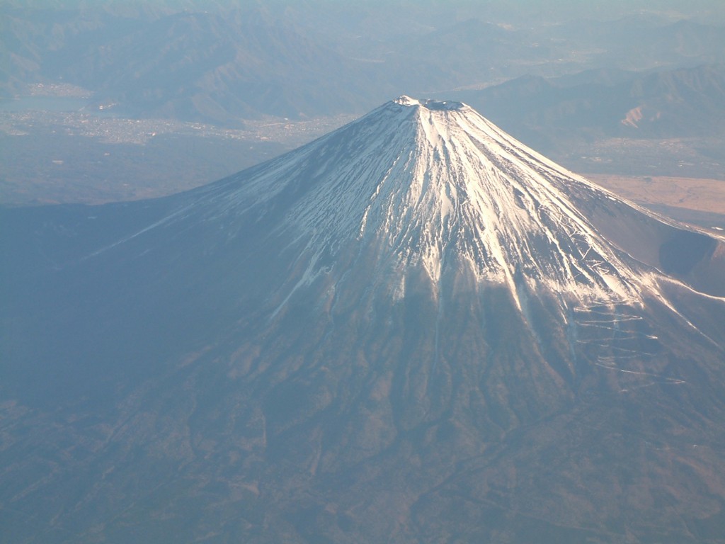 ヒデボー