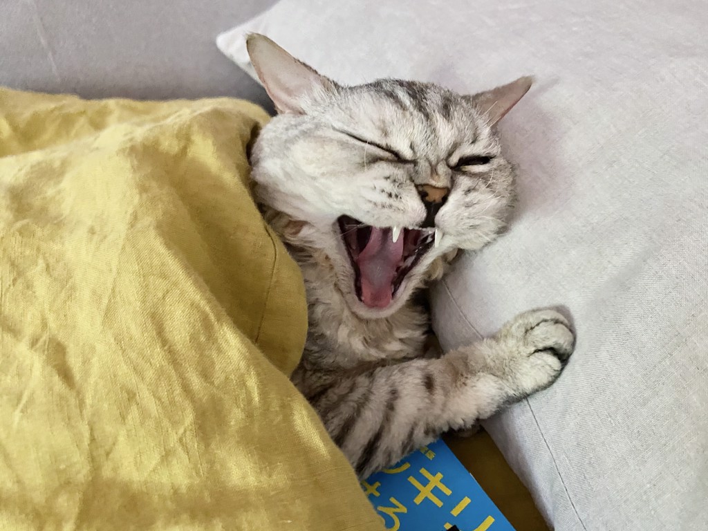 らいぐれ