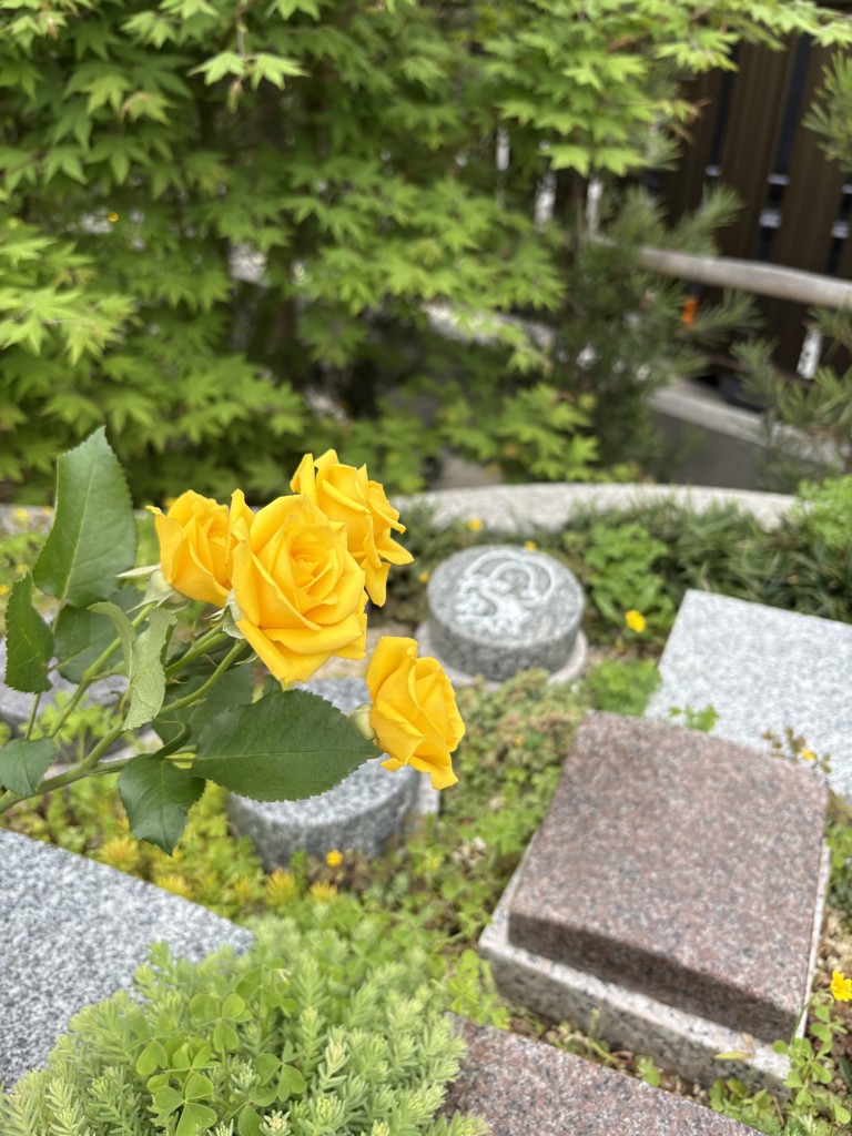 ユーザーアイコン