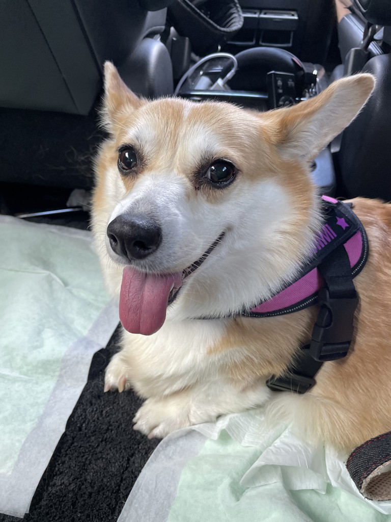 mimi
