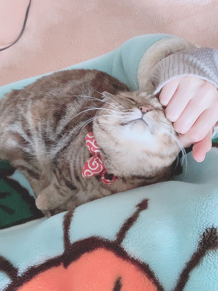 さ！