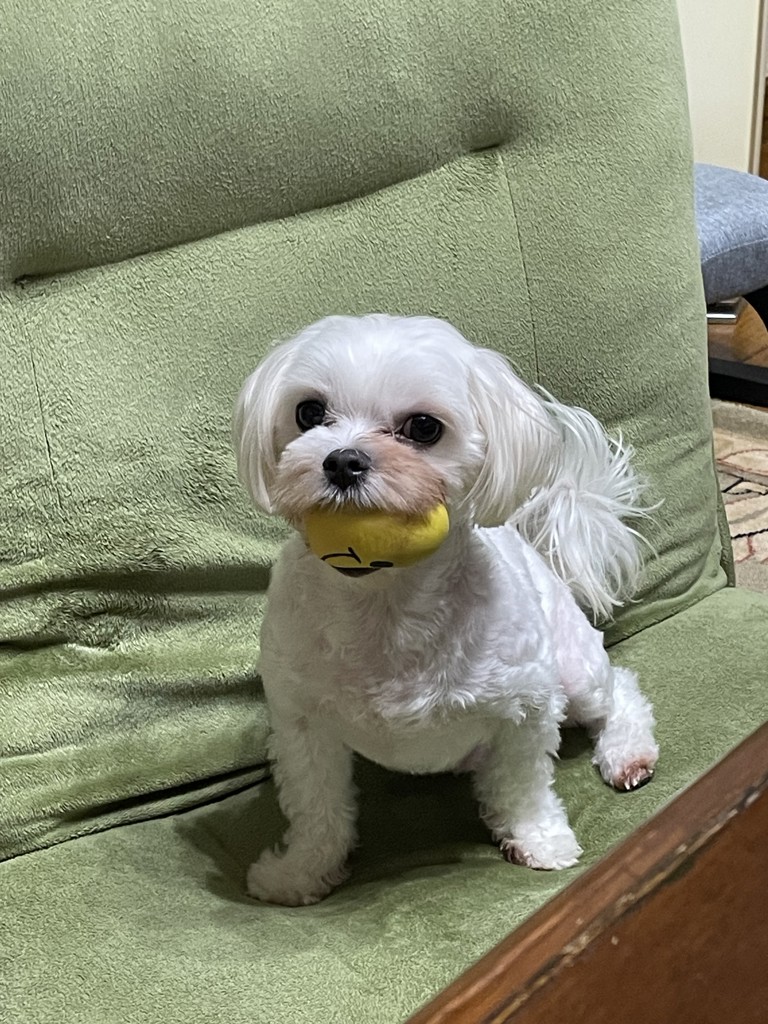 たかじん