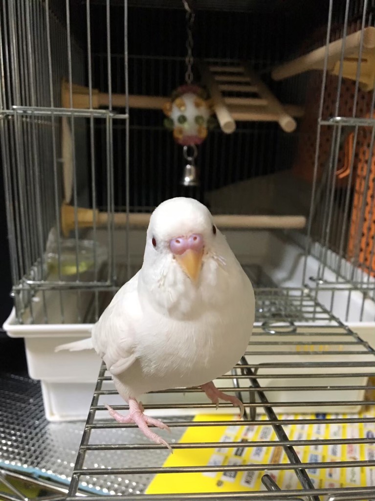 ユーザーアイコン