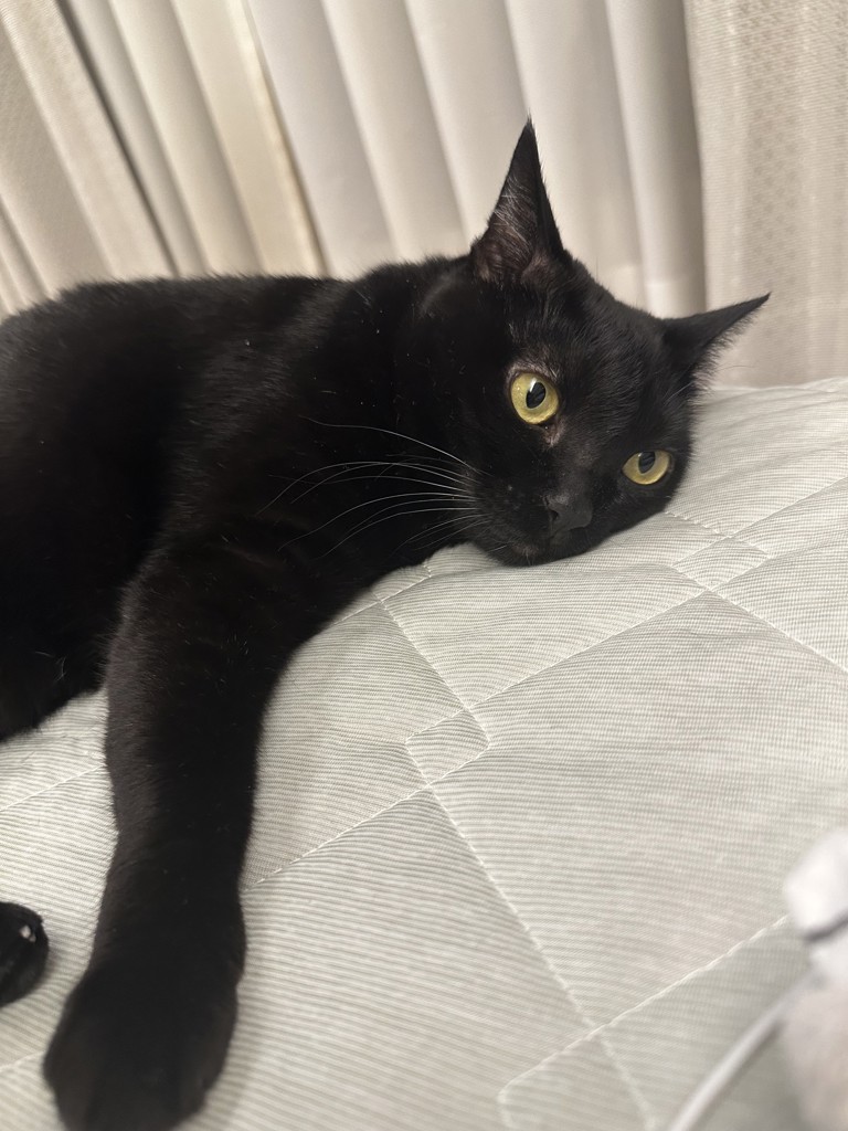 あきぽん