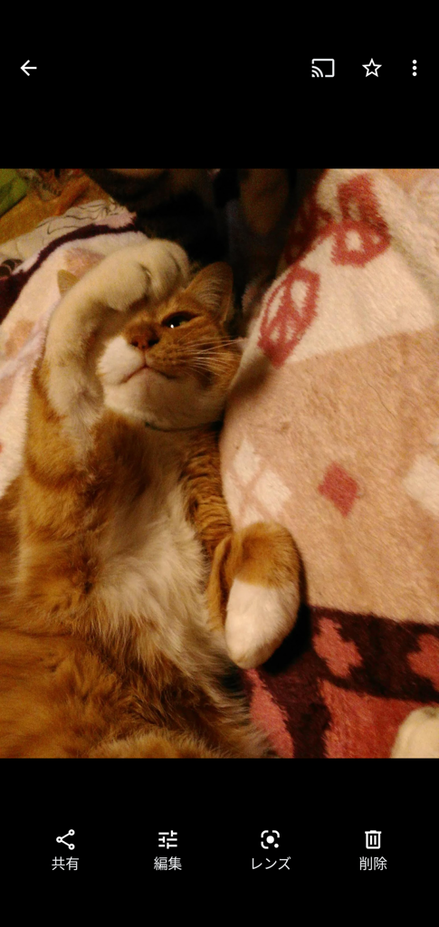 とらちゃん