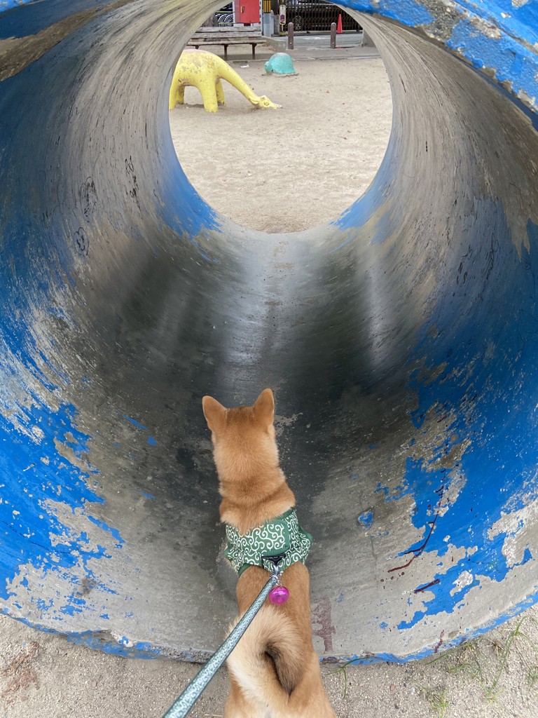 こむ