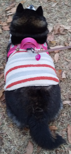 はな