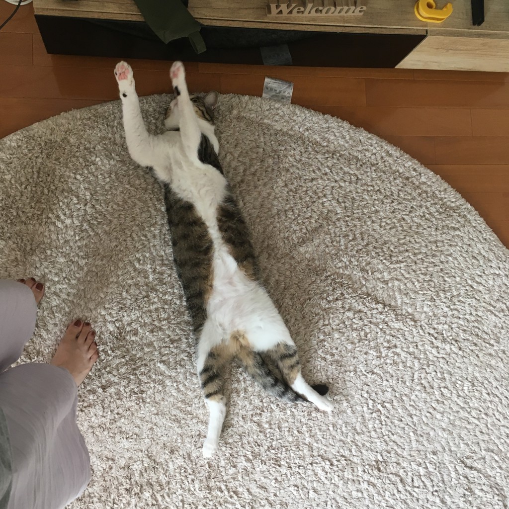 かおりん