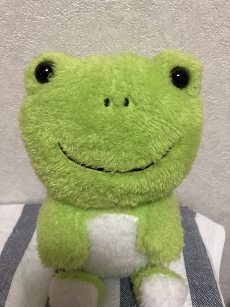 かめさん