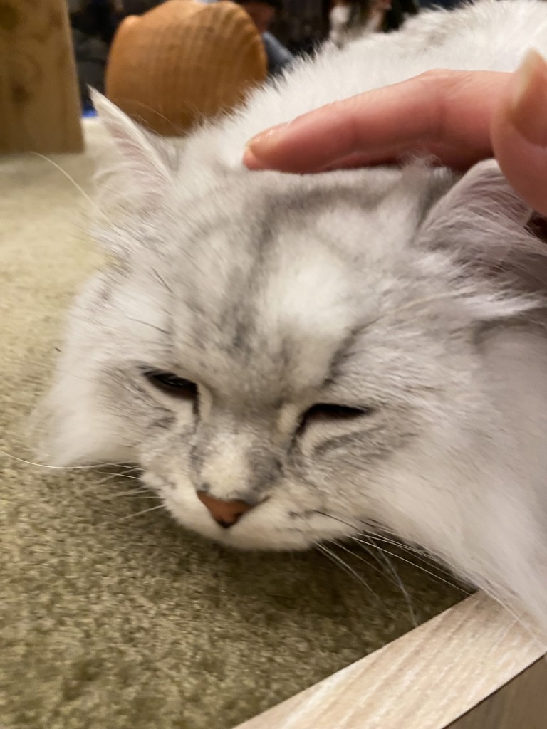 おりおりますます