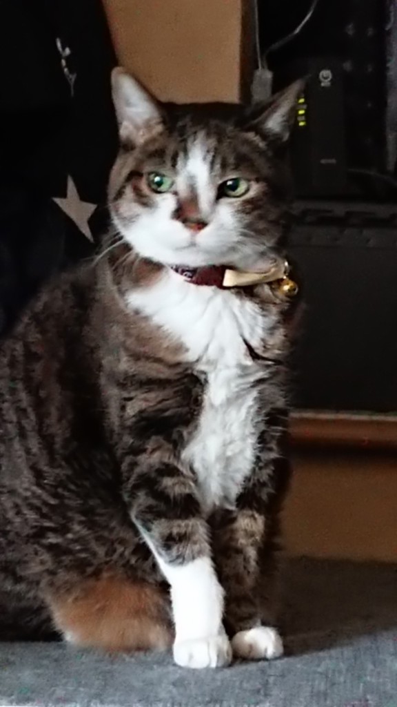 nina