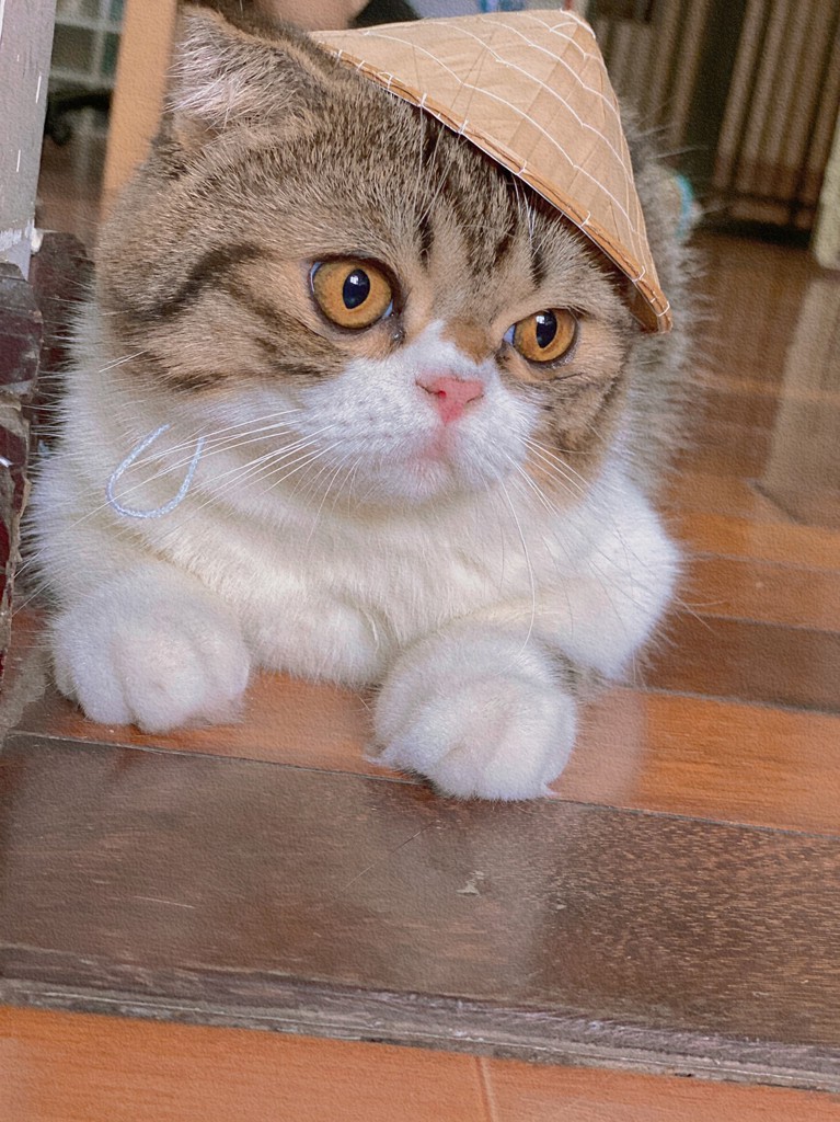 no name