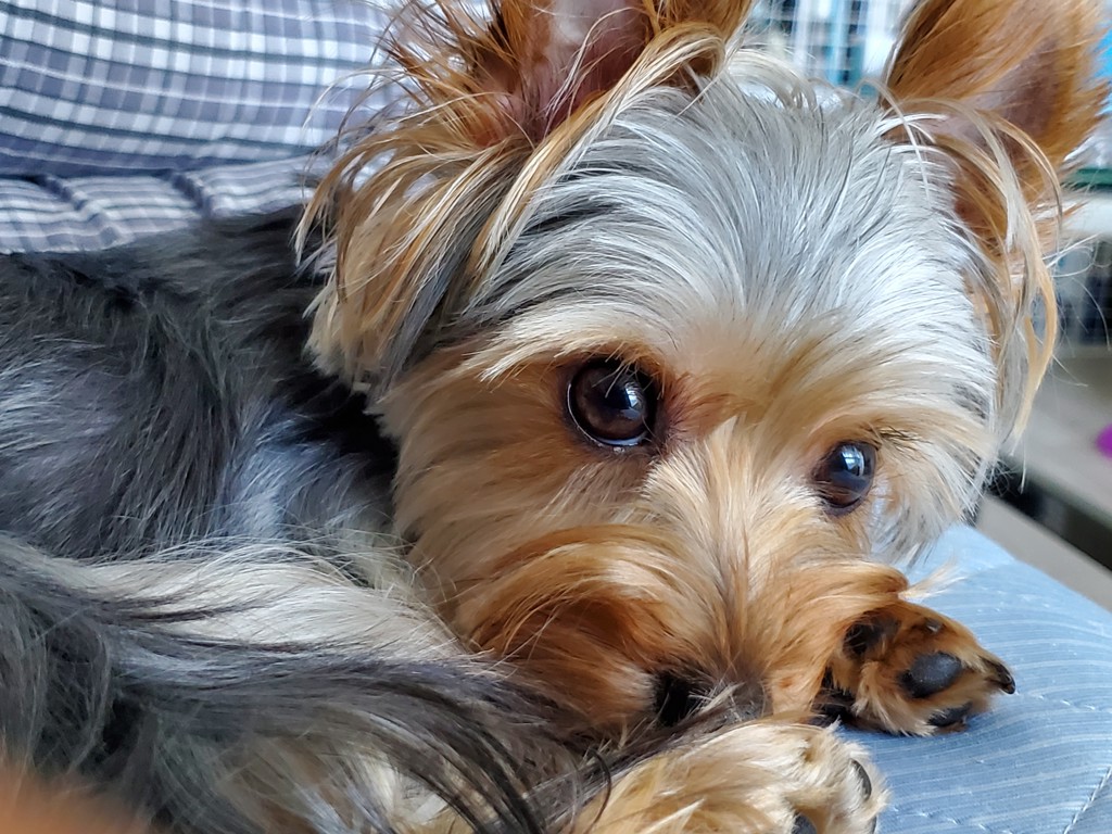 AXEL MAMA