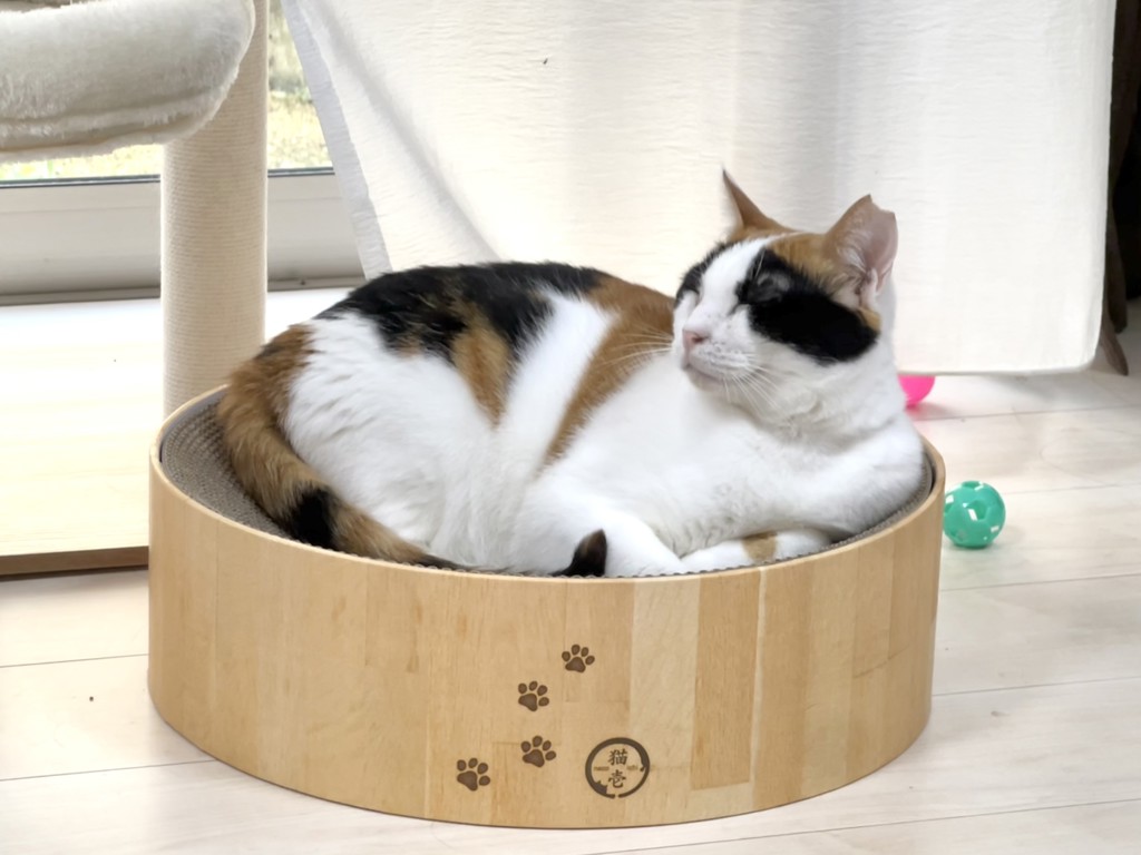 おにぎり