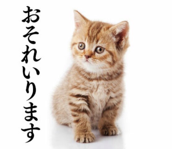 にゃあ
