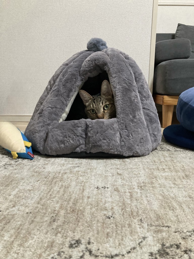 いろちゃん