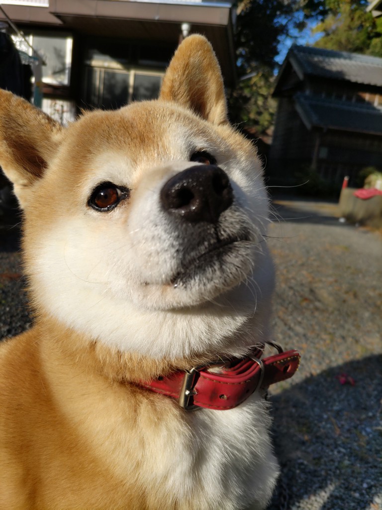 さおりん
