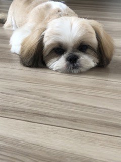 うーちゃん