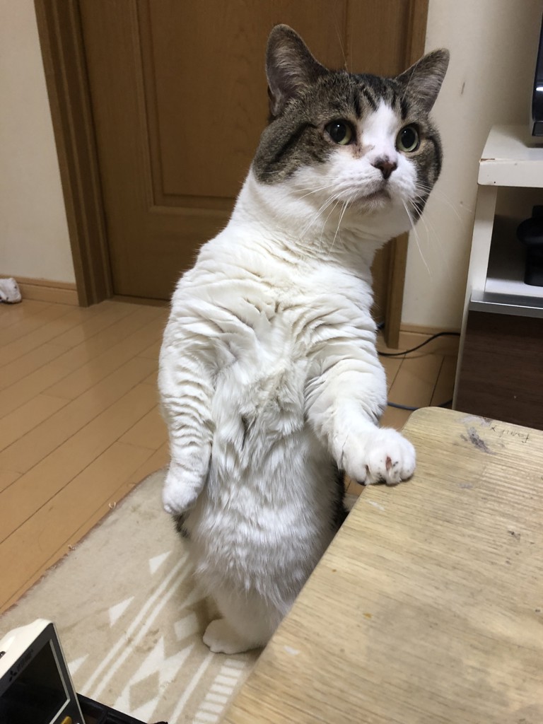 れお