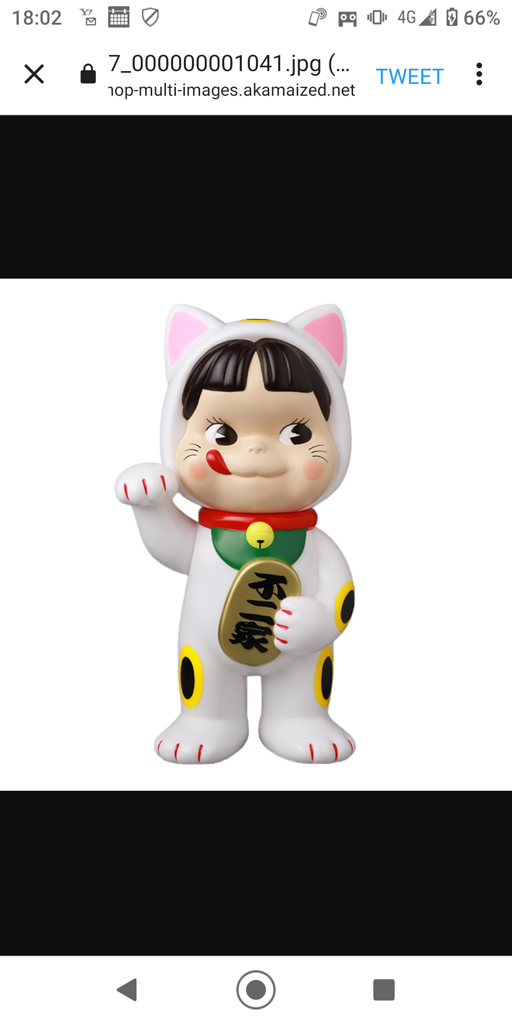 三毛ネコ
