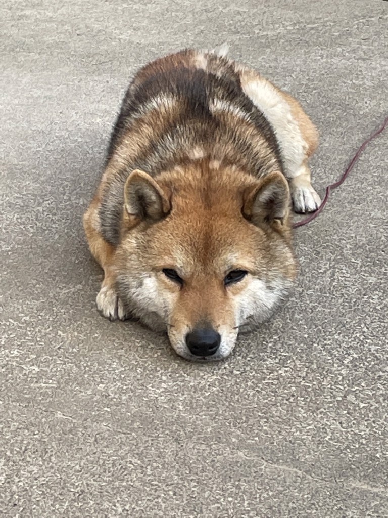 まる