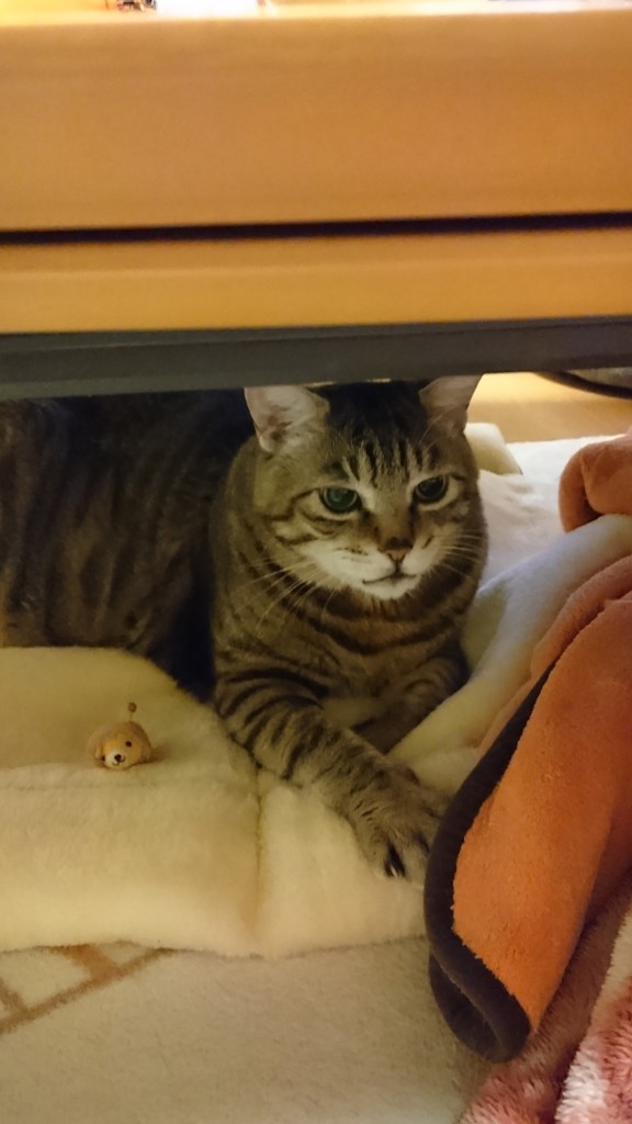 ミューティングローション – My NADESHICO Store