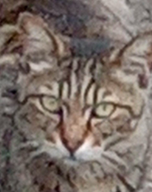 エレベーターを降りて左