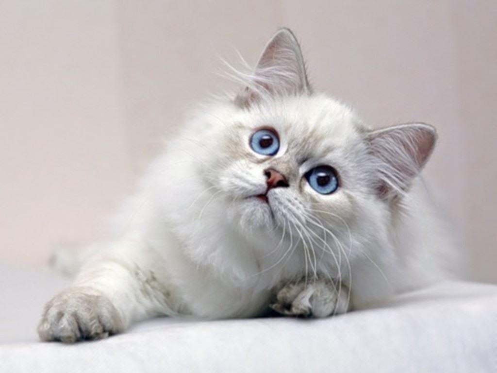 no name