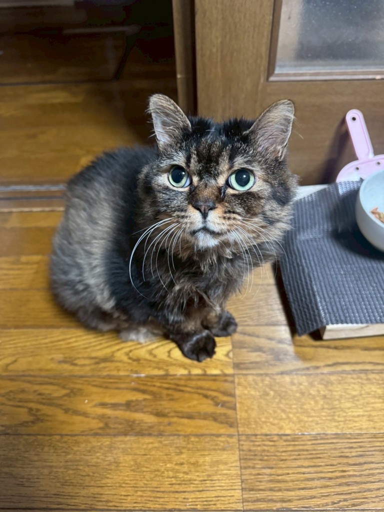 ユーザーアイコン