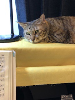 れいまま