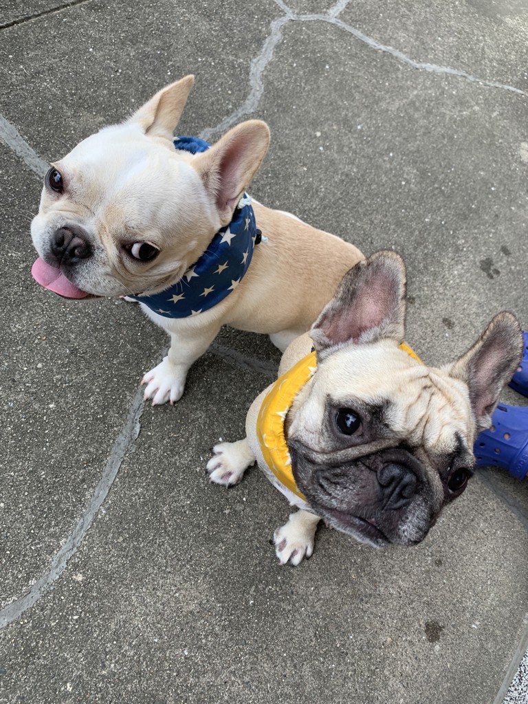 チャイ&ふく