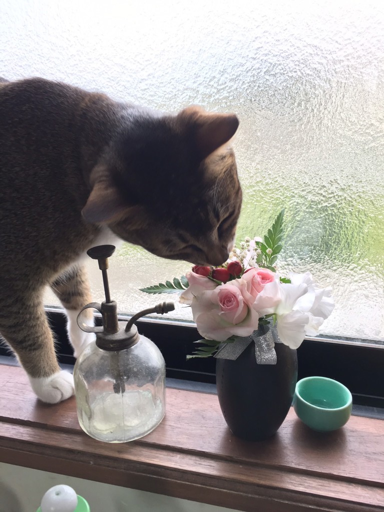 ユーザーアイコン