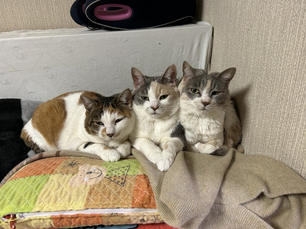 たいむ