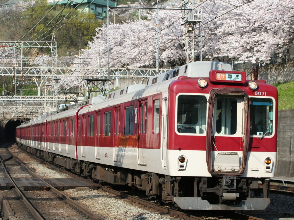 おかちゃんの写真館