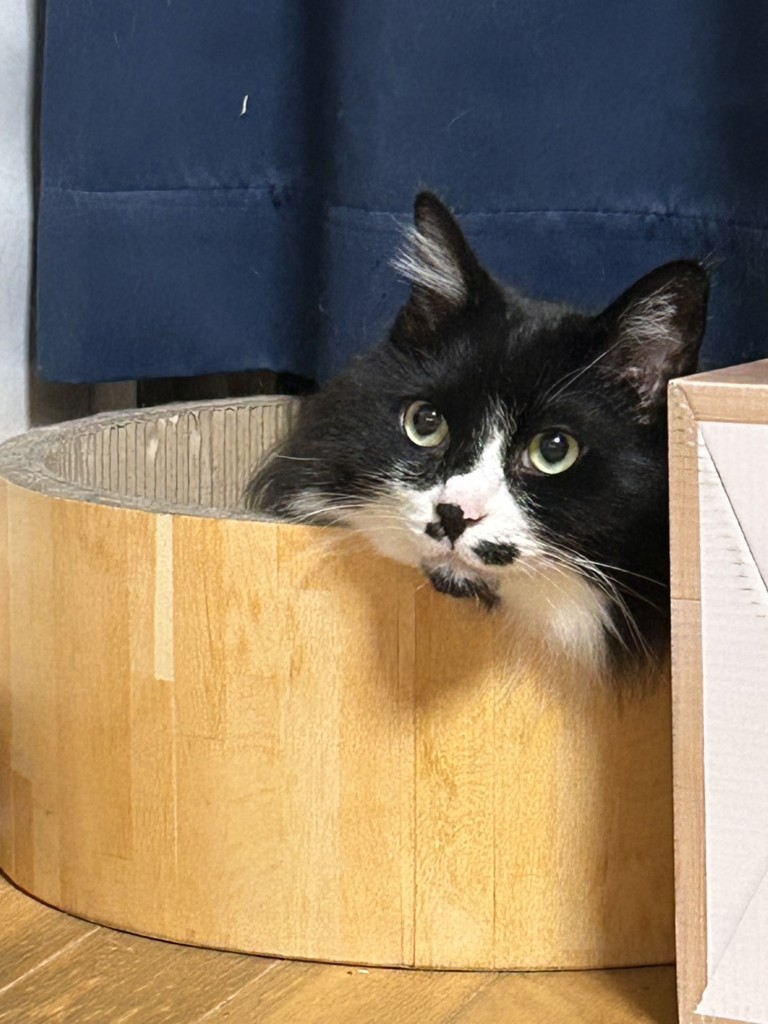 エンジン