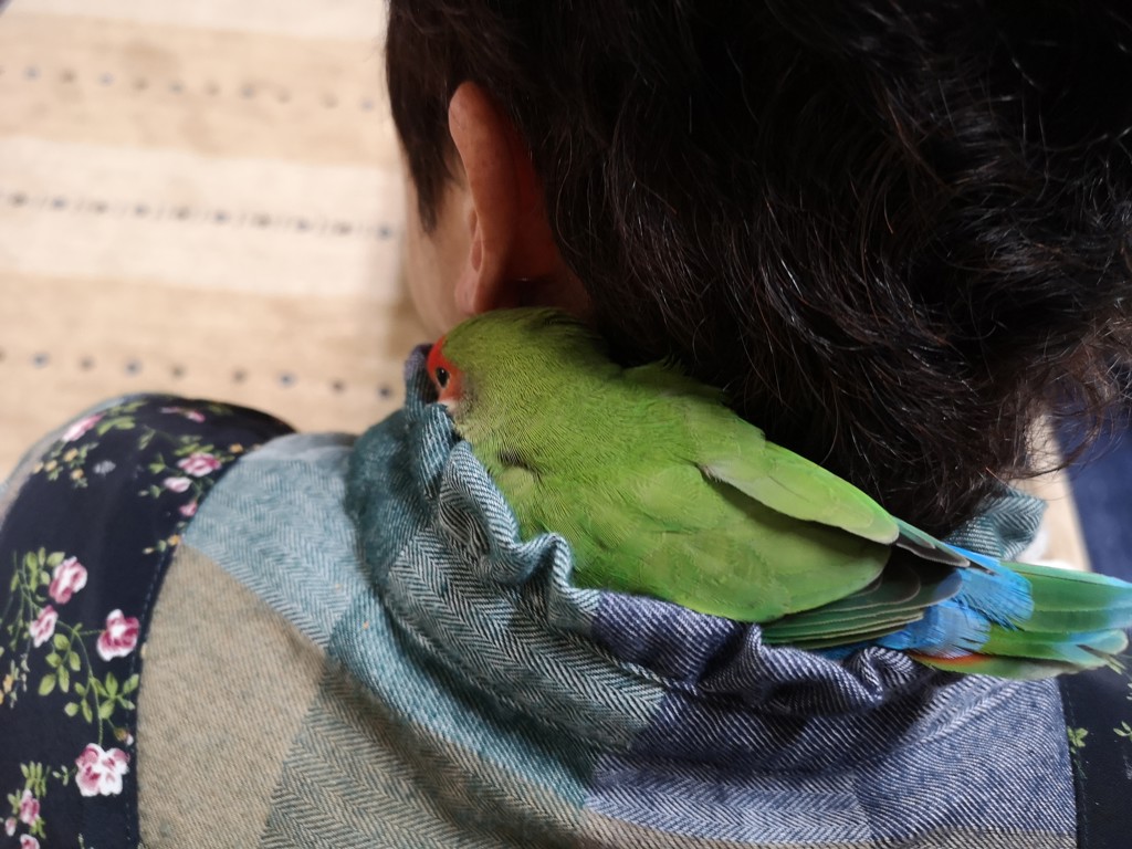 ふくさん