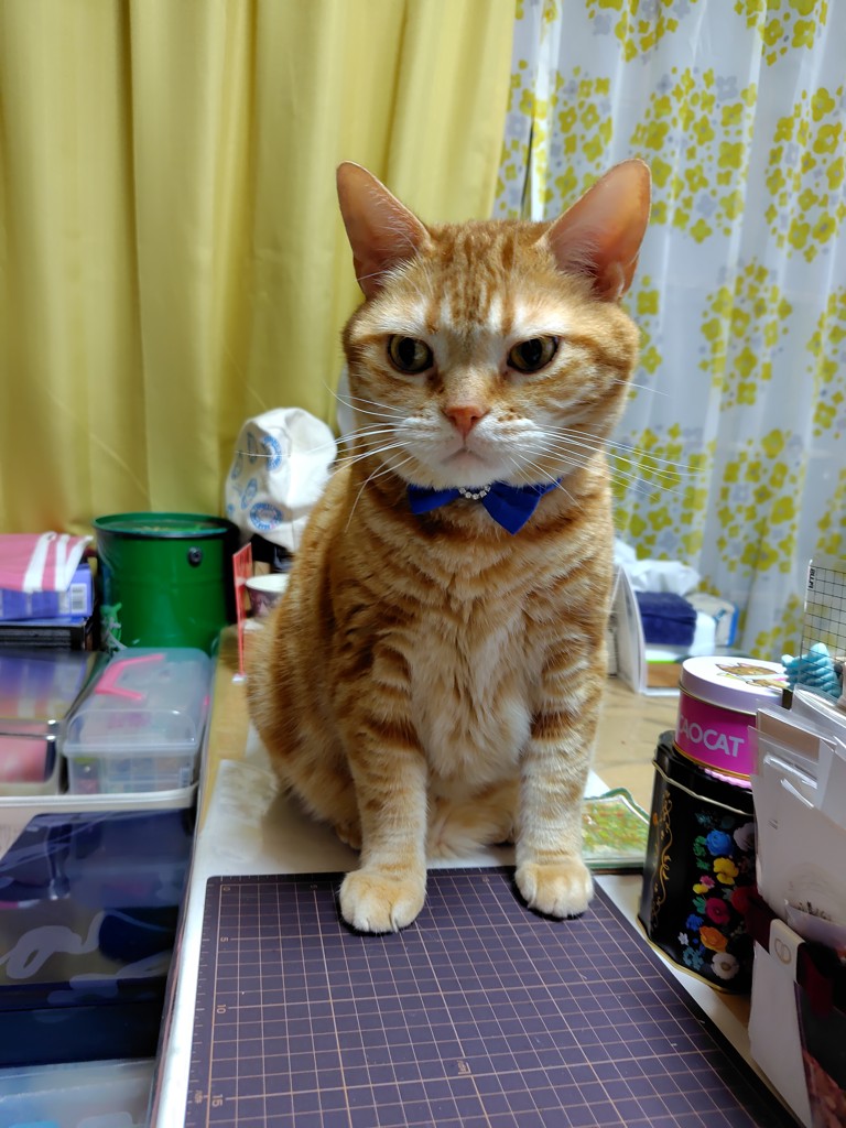 ユーザーアイコン