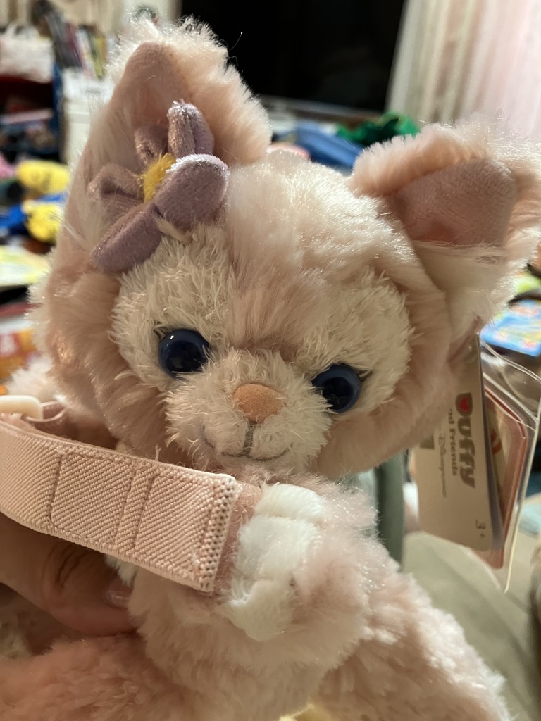 ひまわり