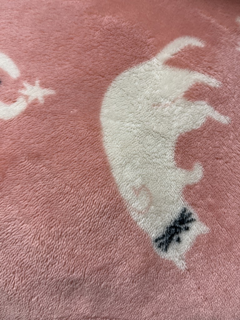 みなみ