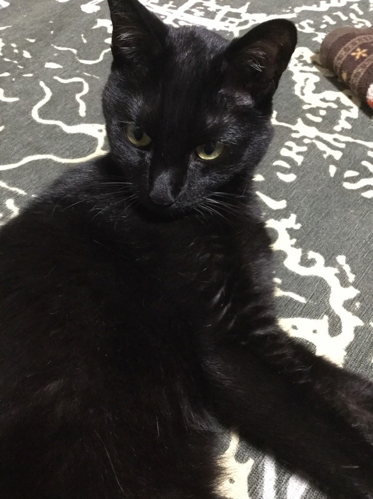 Mie