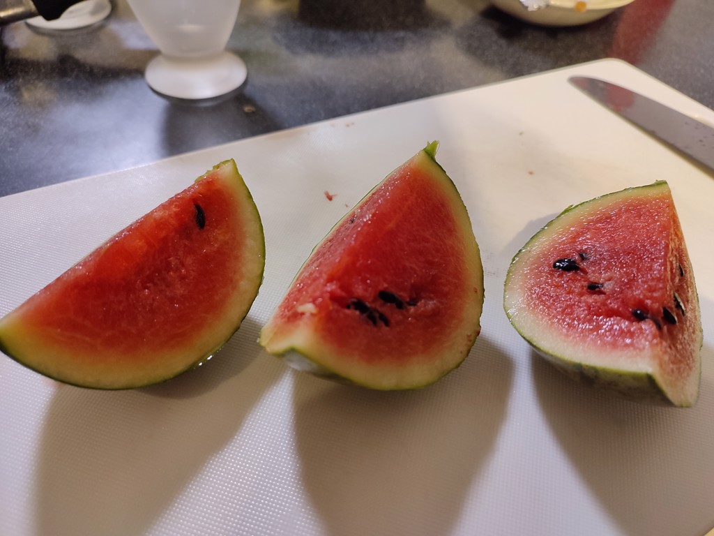 ぴーたーうさぎ