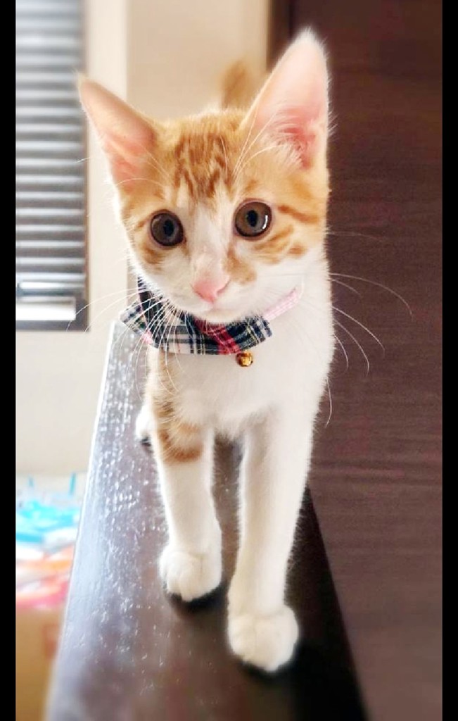 no name